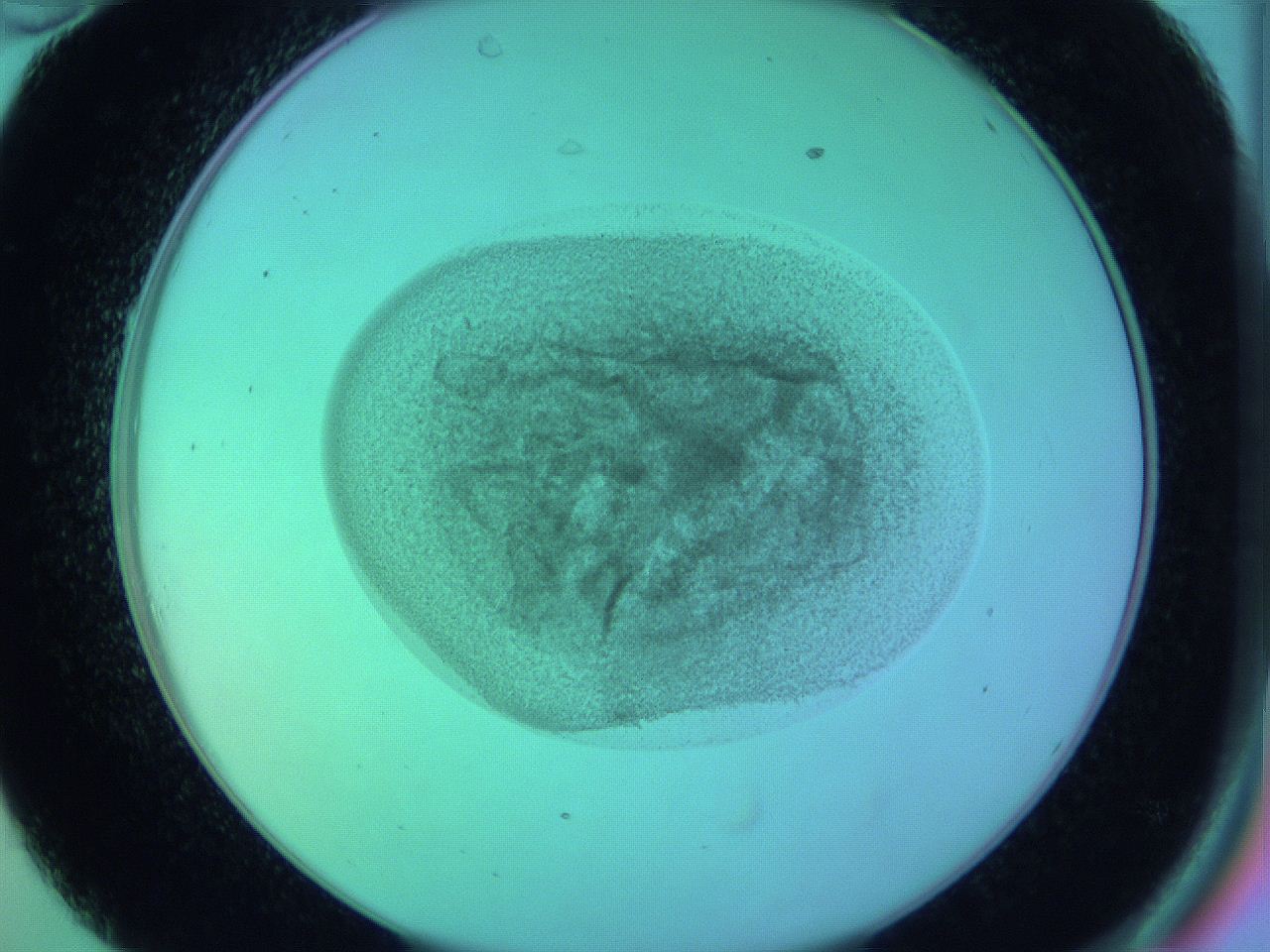05zb_C10_ImagerDefaults_3.jpg