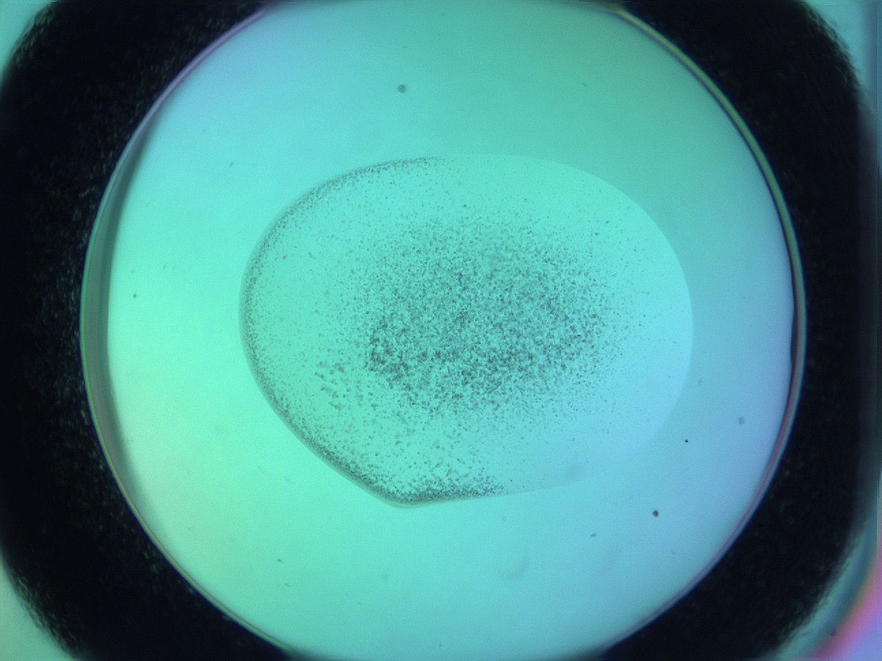 05zb_C9_ImagerDefaults_3.jpg