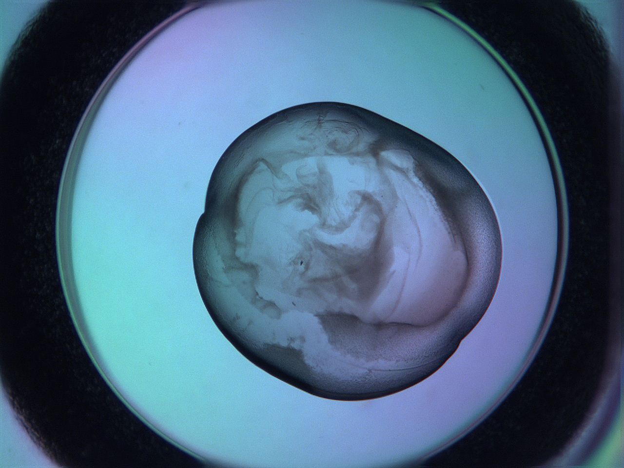 05zb_D1_ImagerDefaults_3.jpg