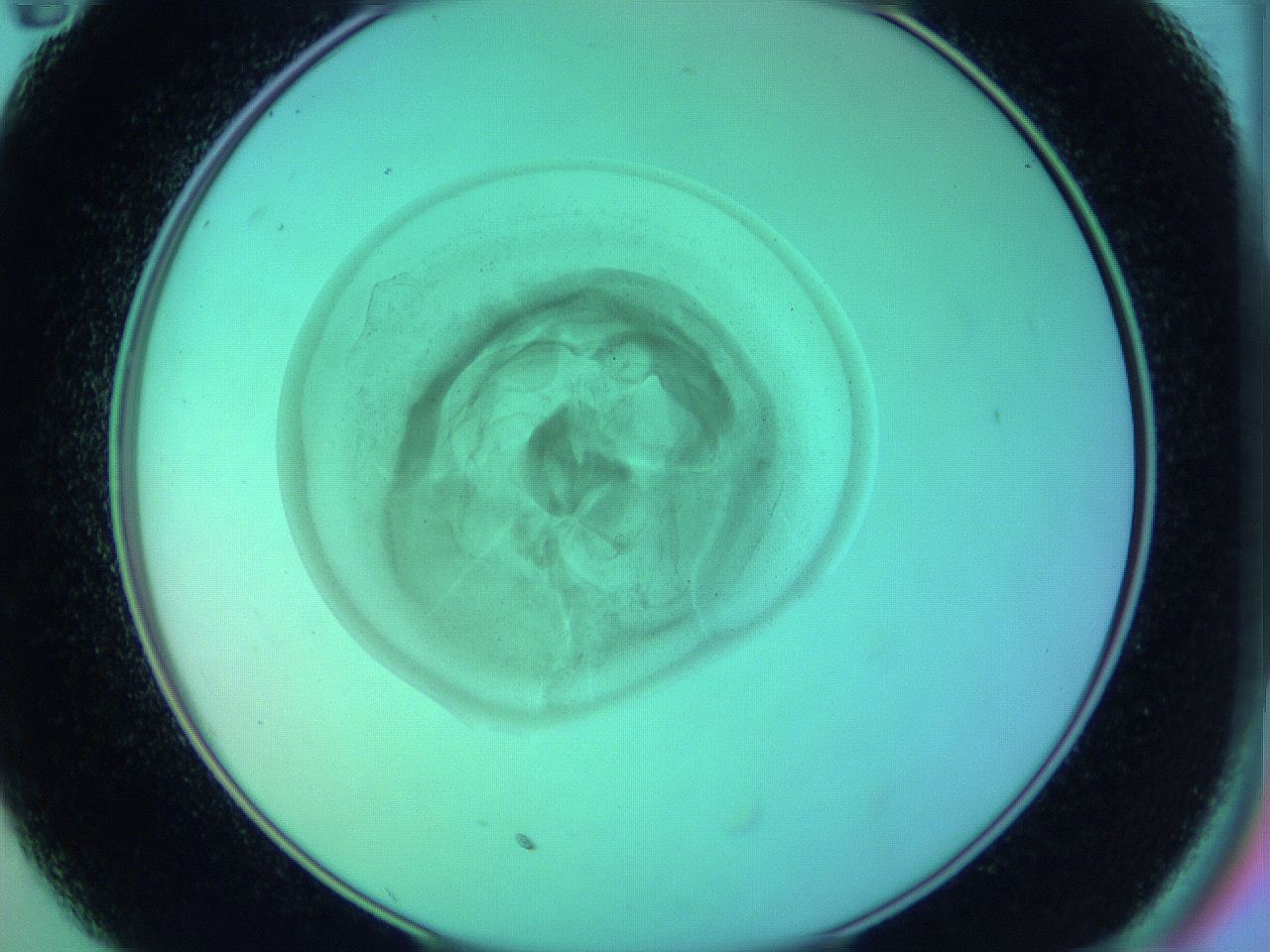 05zb_C11_ImagerDefaults_3.jpg