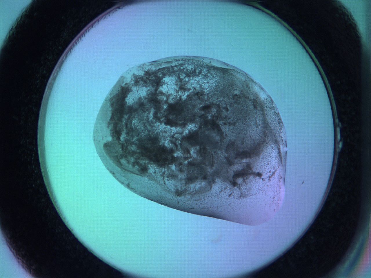 05zb_A1_ImagerDefaults_3.jpg