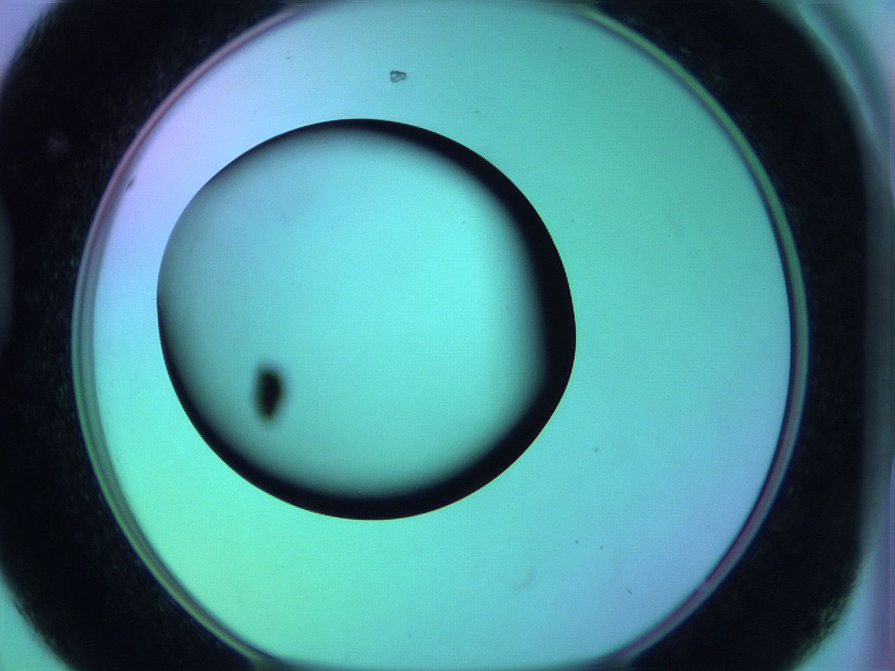 05zb_D8_ImagerDefaults_0.jpg
