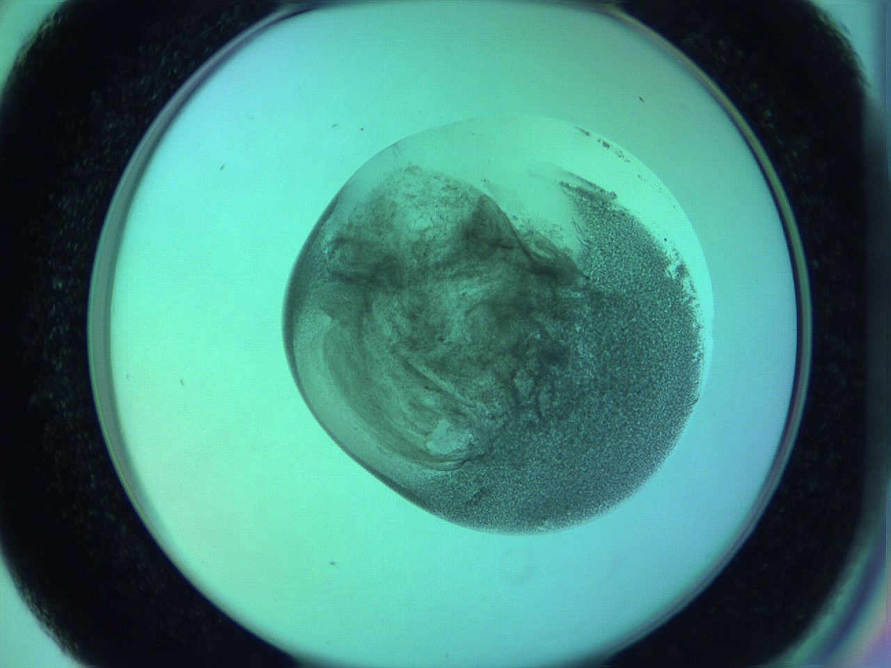 05zb_D5_ImagerDefaults_3.jpg