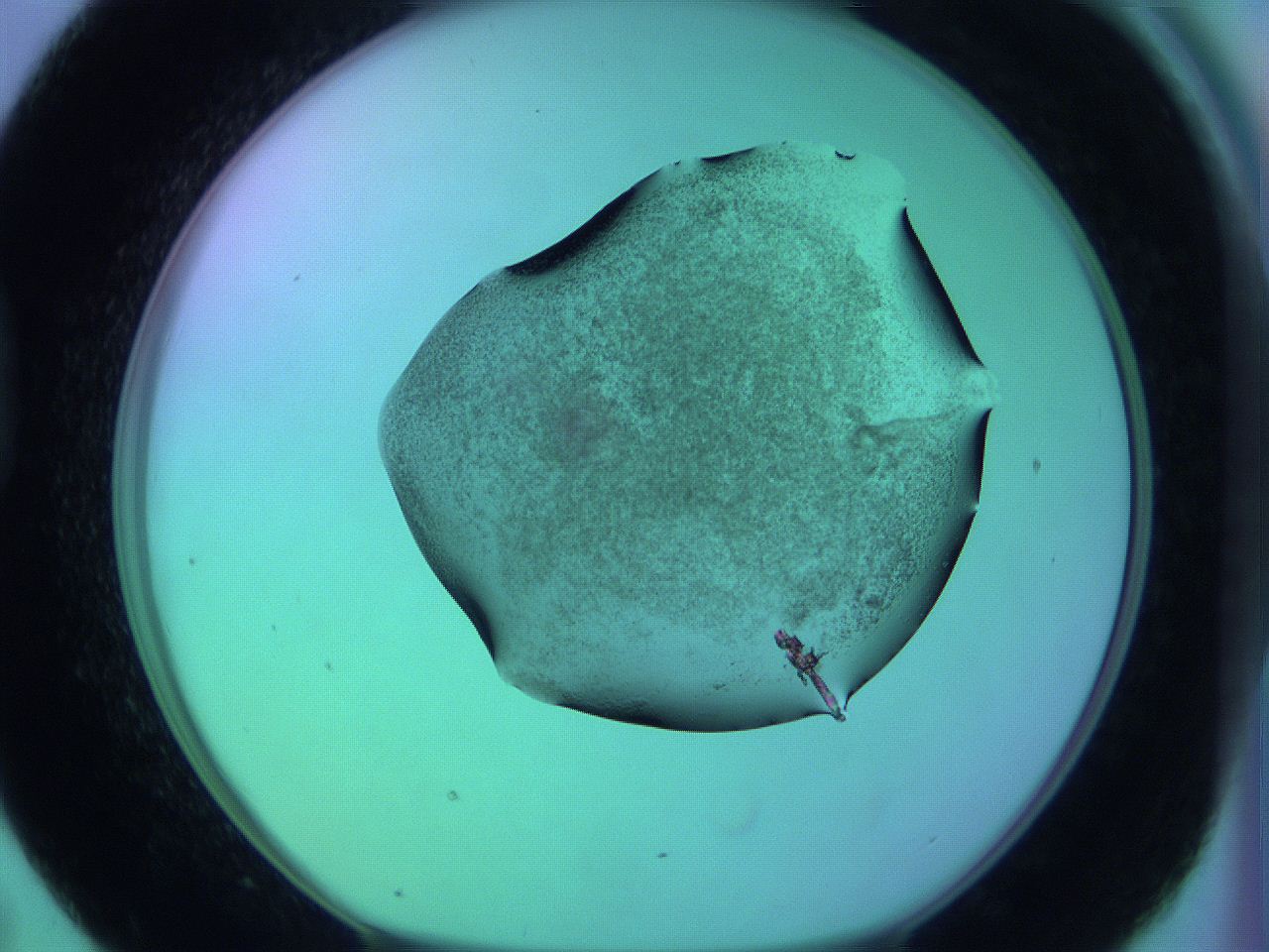 05zb_D7_ImagerDefaults_3.jpg