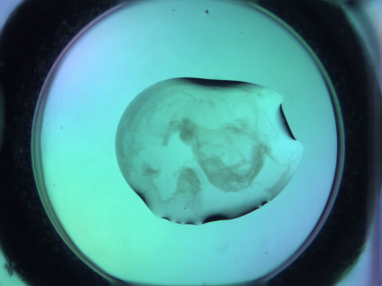 05zb_D9_ImagerDefaults_3.jpg