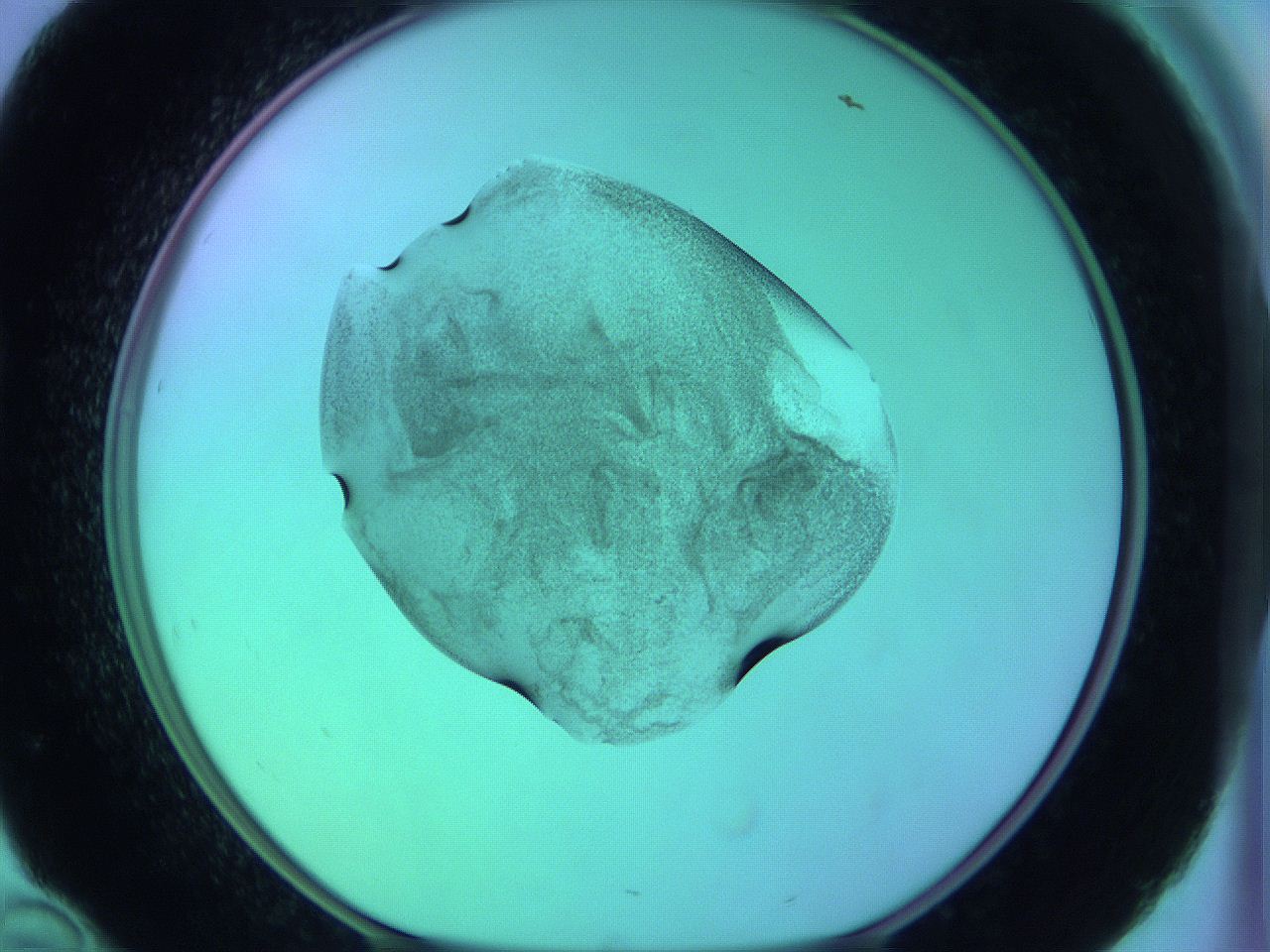 05zb_D10_ImagerDefaults_3.jpg