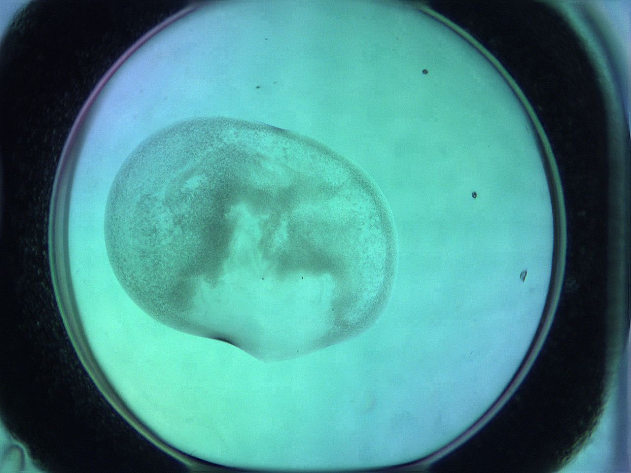 05zb_D11_ImagerDefaults_3.jpg