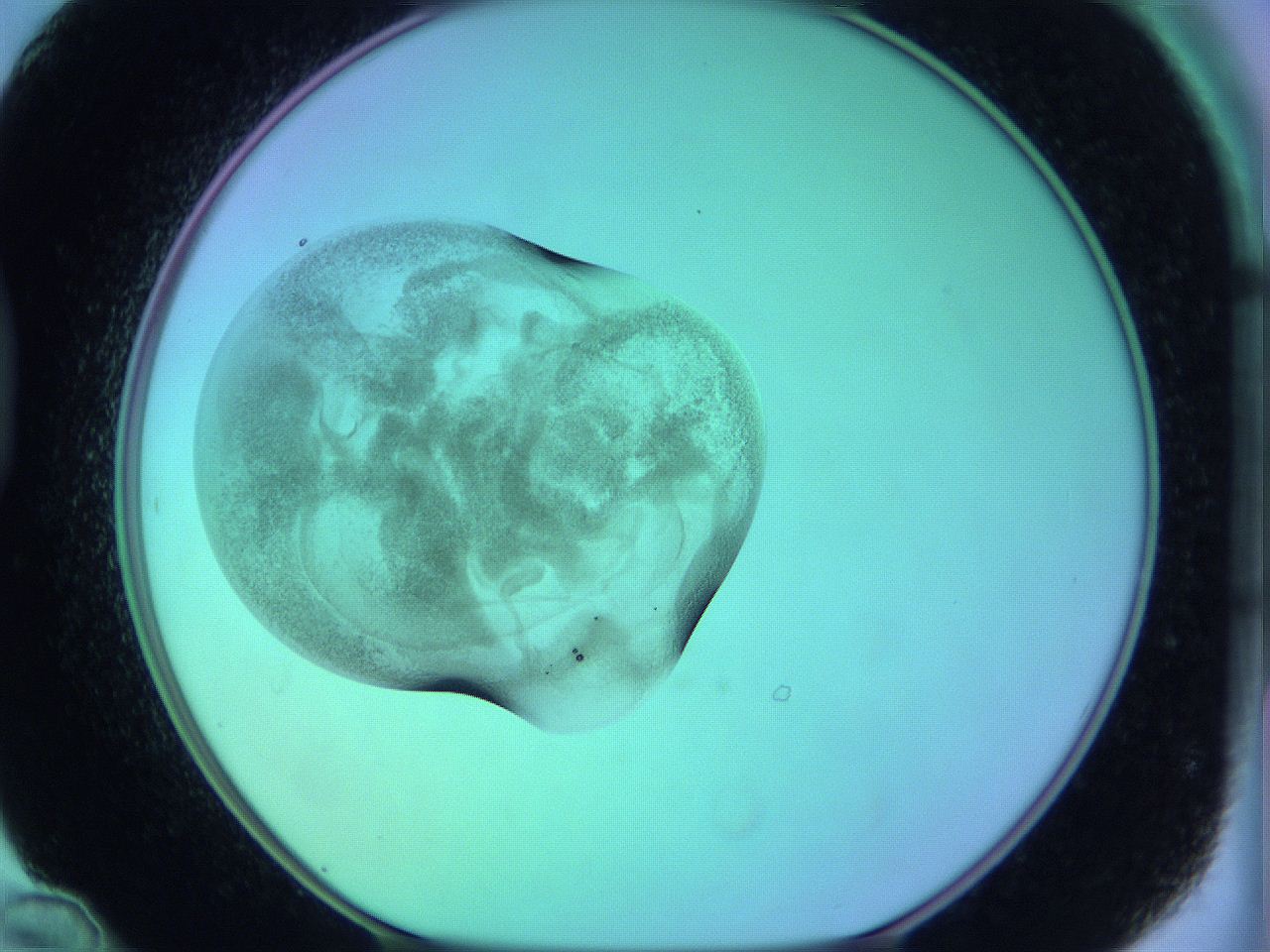 05zb_D12_ImagerDefaults_3.jpg
