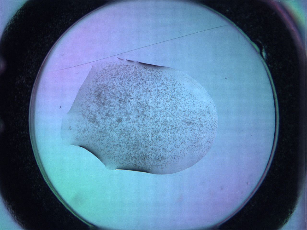 05zb_E1_ImagerDefaults_3.jpg