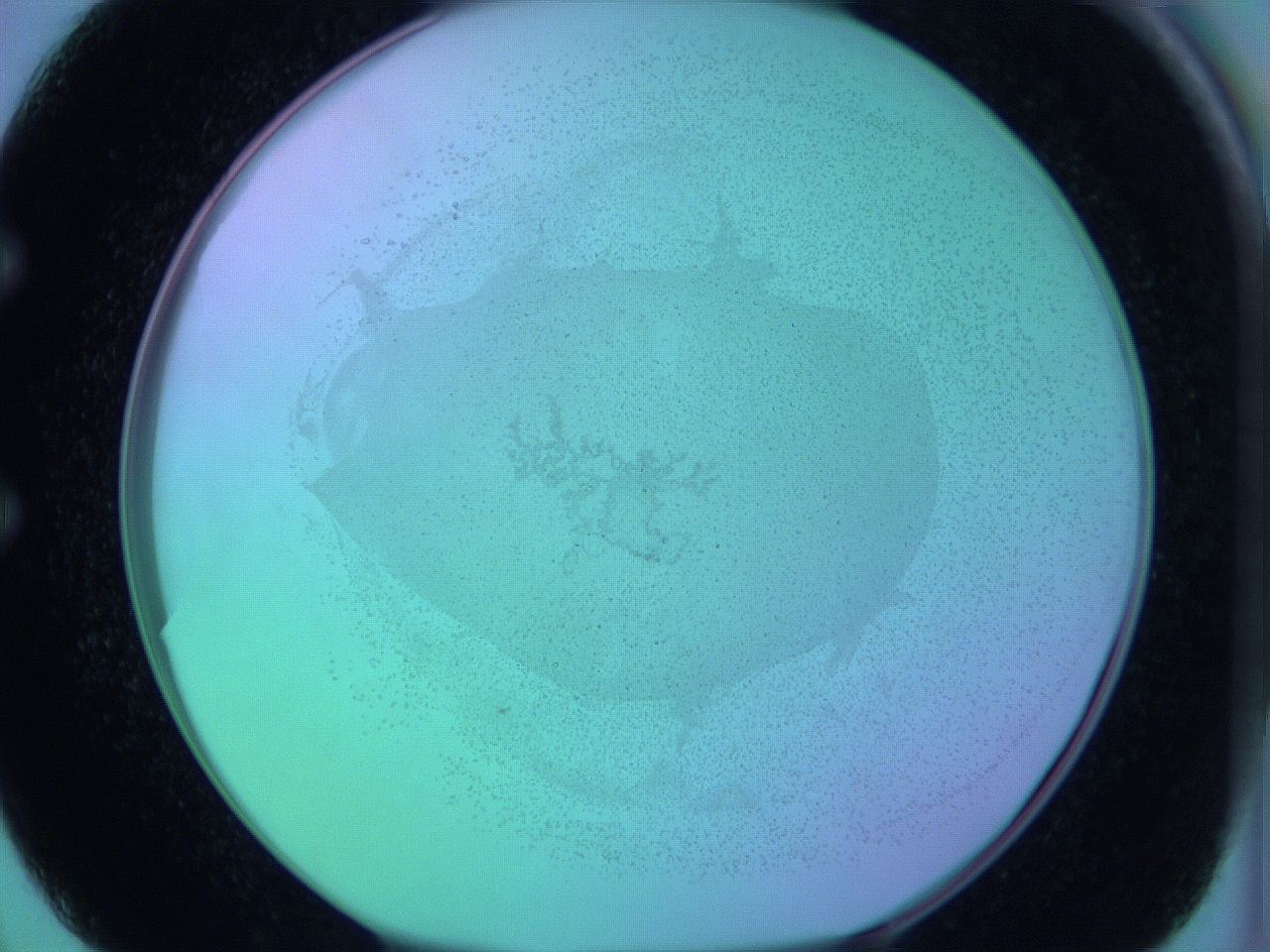 05zb_E2_ImagerDefaults_0.jpg