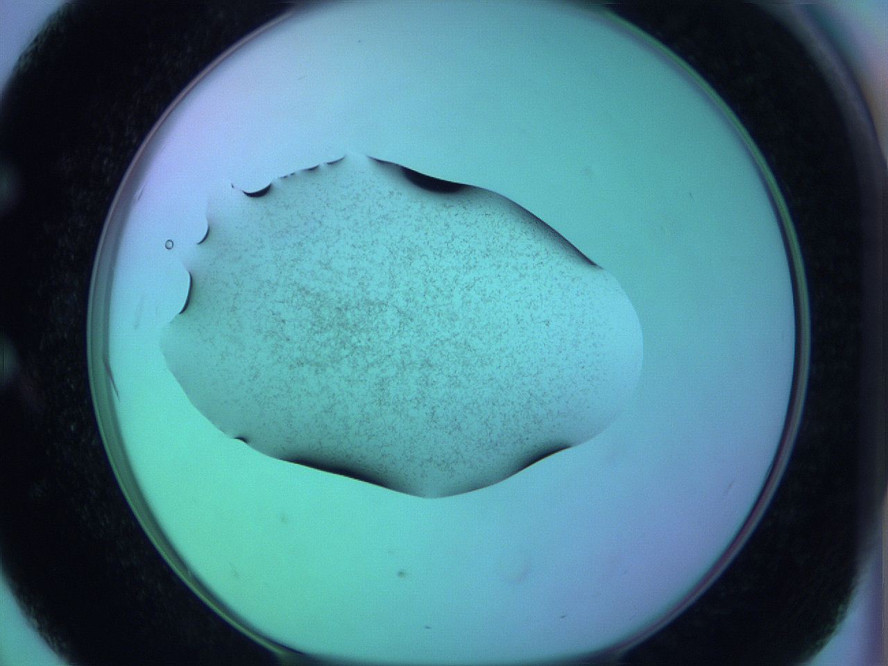 05zb_E3_ImagerDefaults_3.jpg