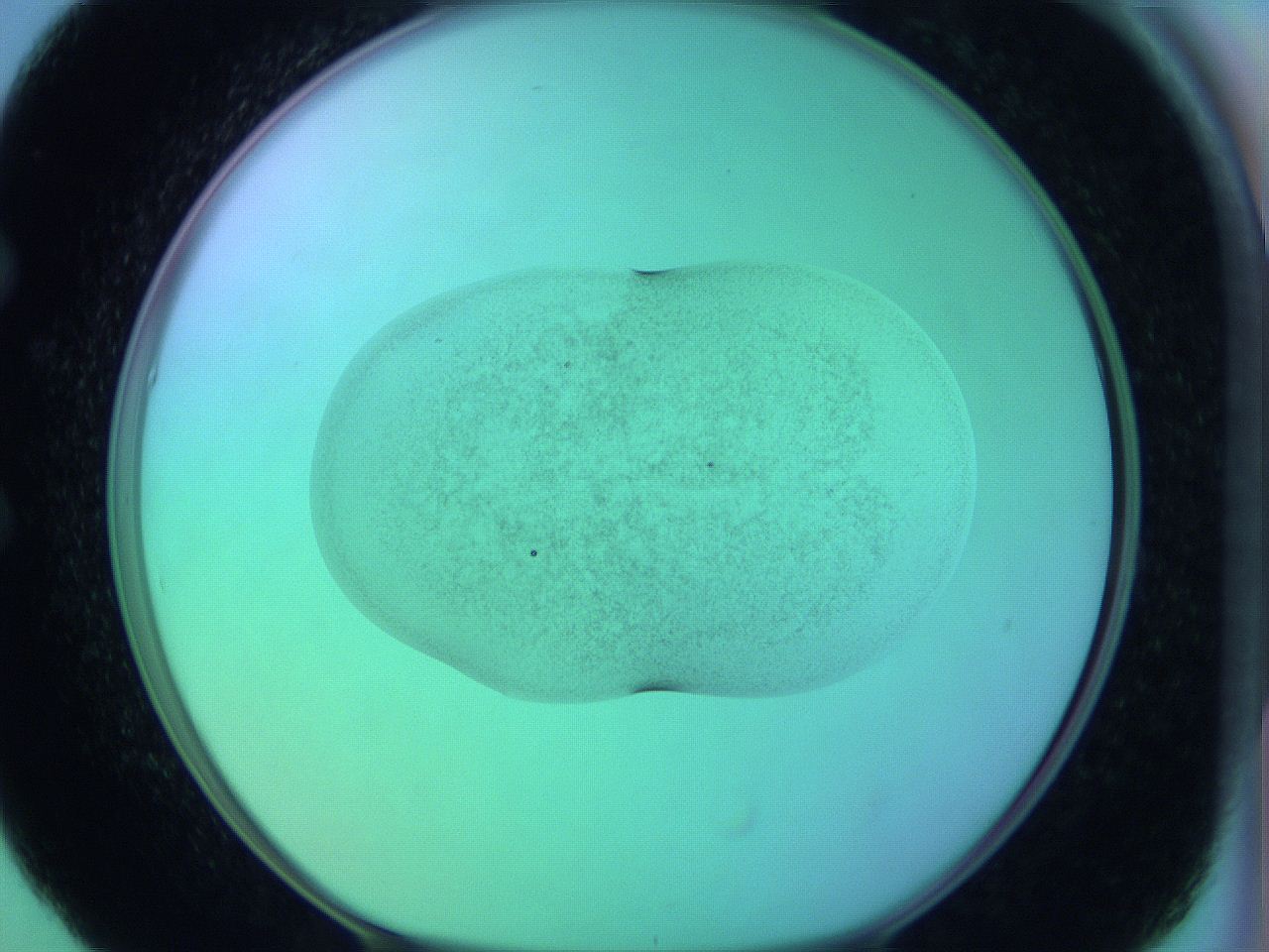 05zb_E5_ImagerDefaults_3.jpg