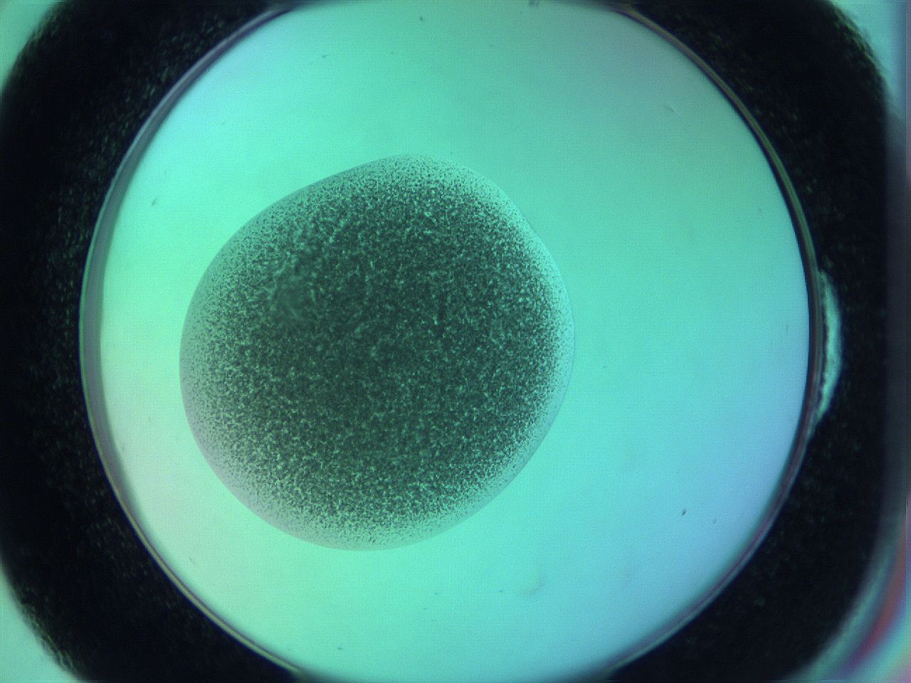 05zb_E6_ImagerDefaults_3.jpg