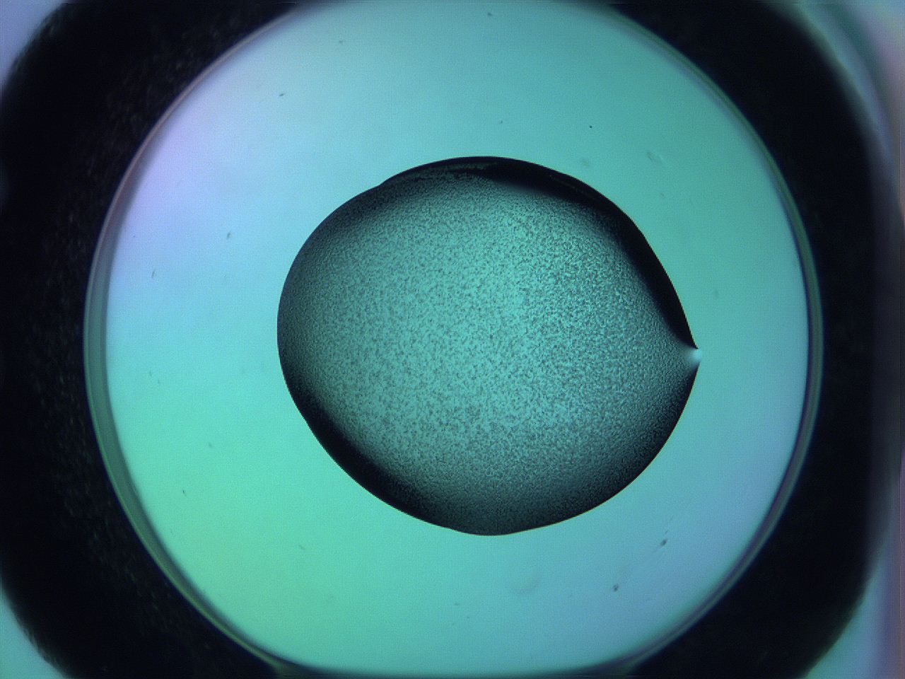 05zb_E7_ImagerDefaults_3.jpg