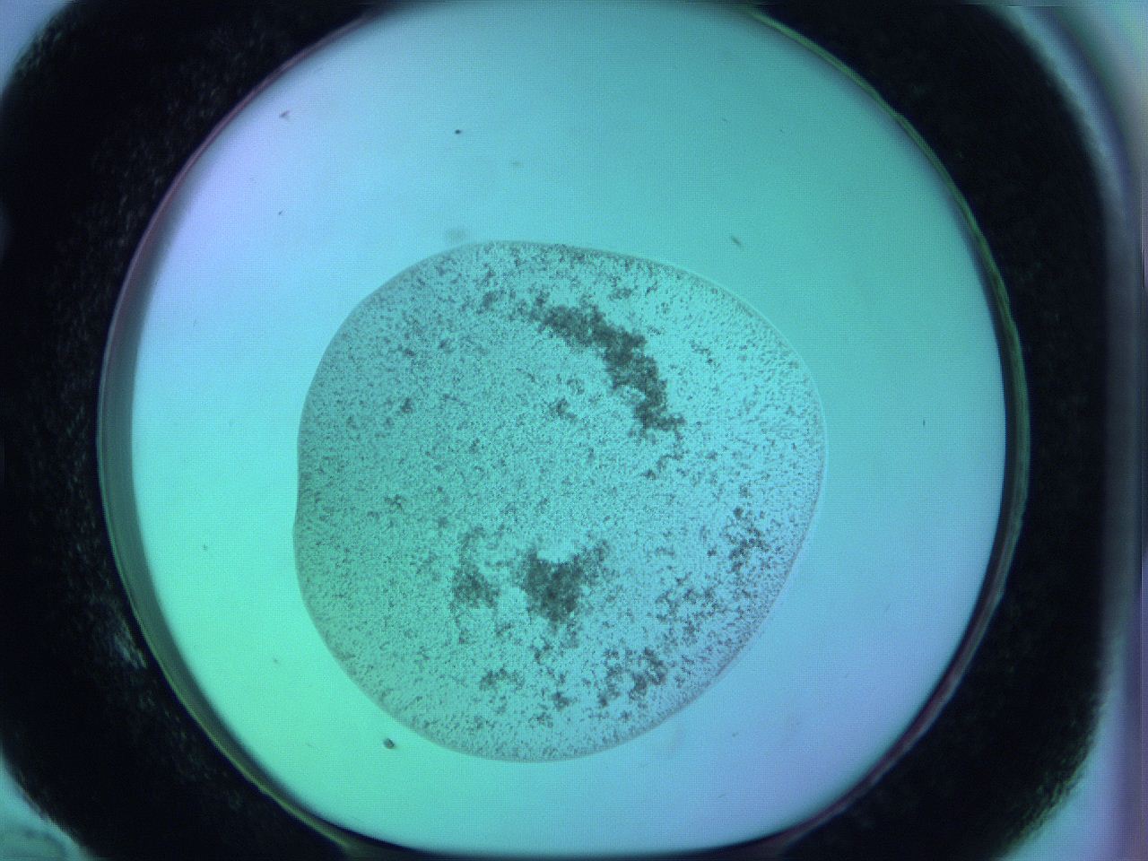 05zb_E10_ImagerDefaults_3.jpg