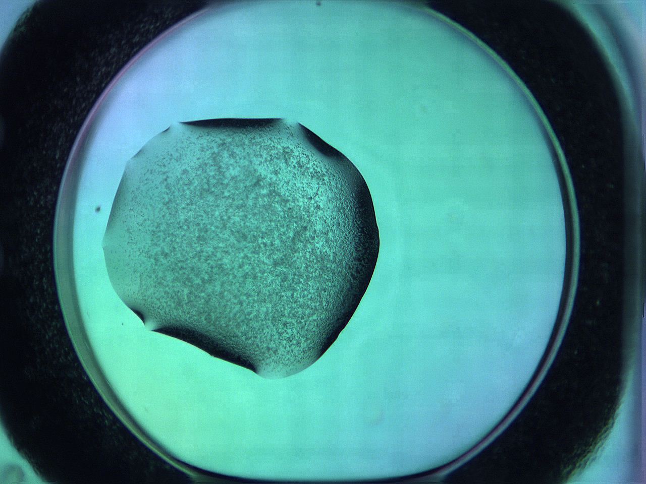05zb_E11_ImagerDefaults_3.jpg