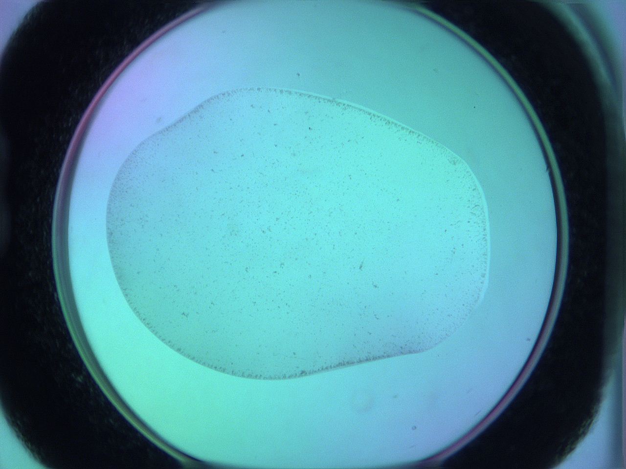 05zb_B9_ImagerDefaults_0.jpg