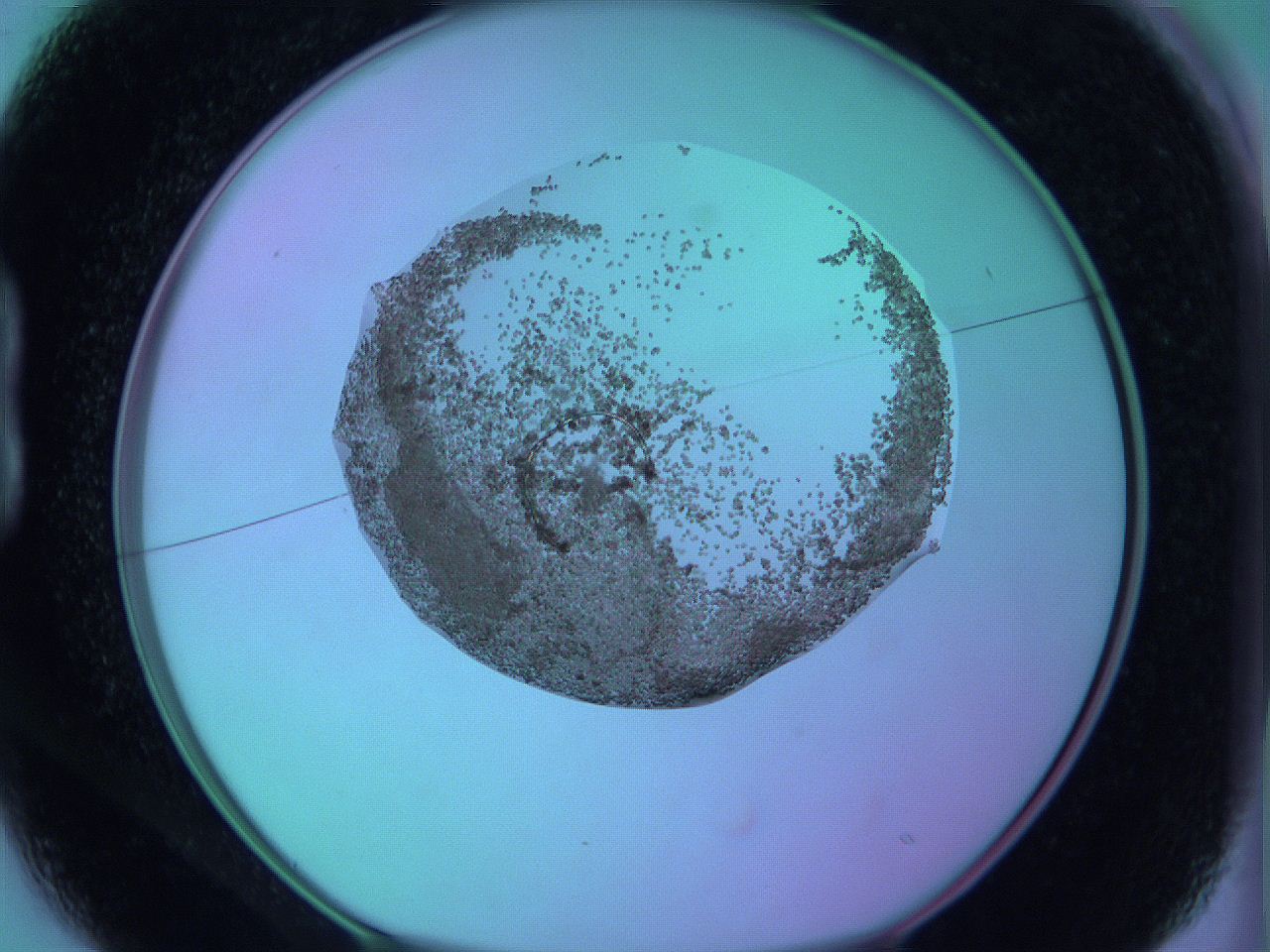 05zb_B1_ImagerDefaults_6.jpg