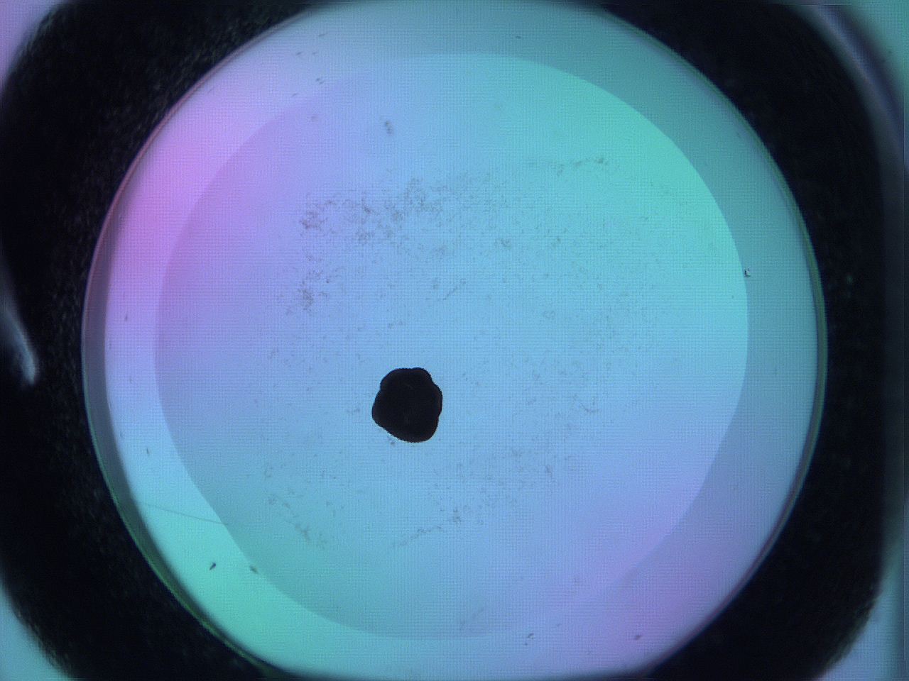 05zb_A8_ImagerDefaults_0.jpg