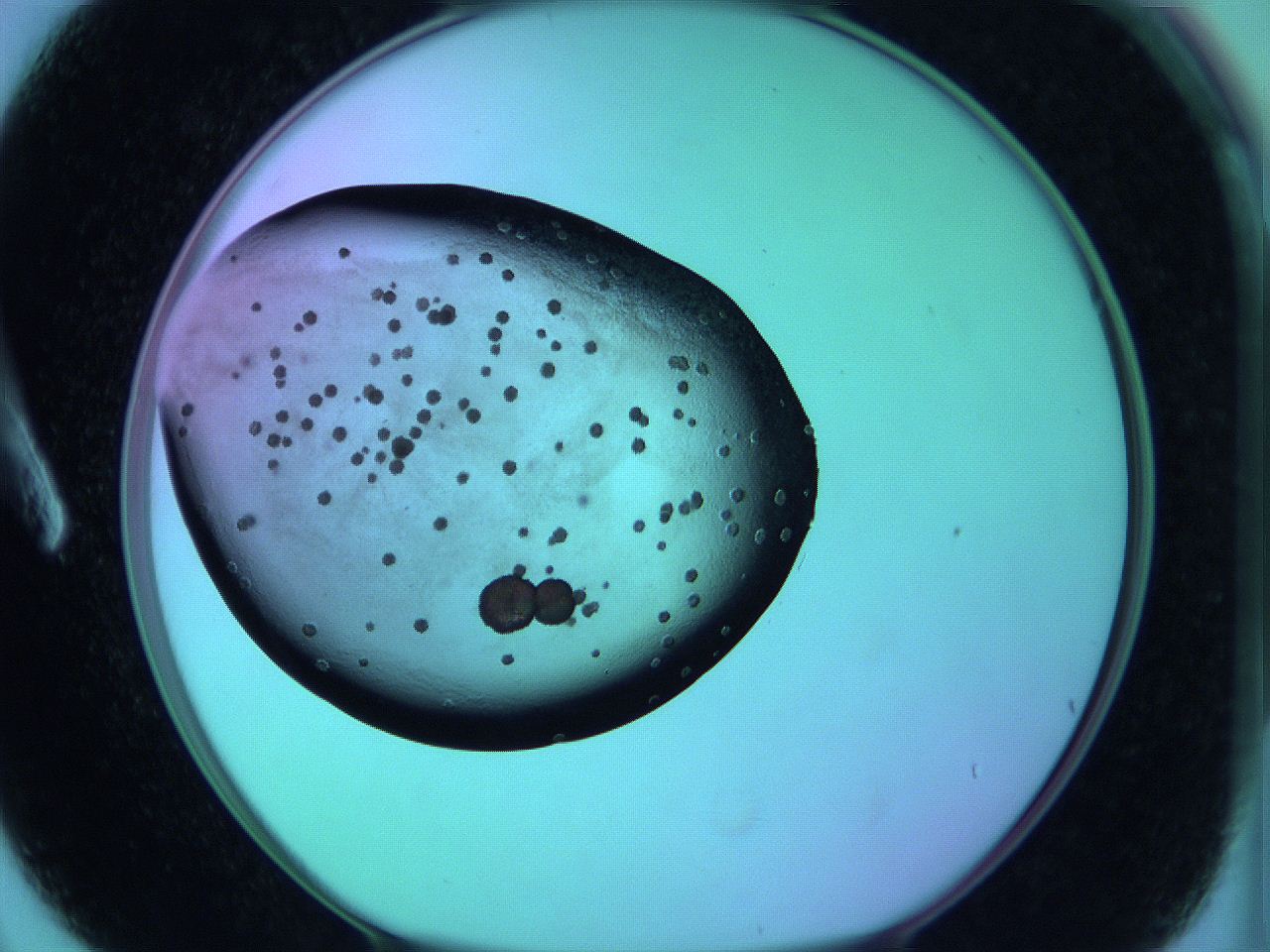 05zb_A3_ImagerDefaults_6.jpg