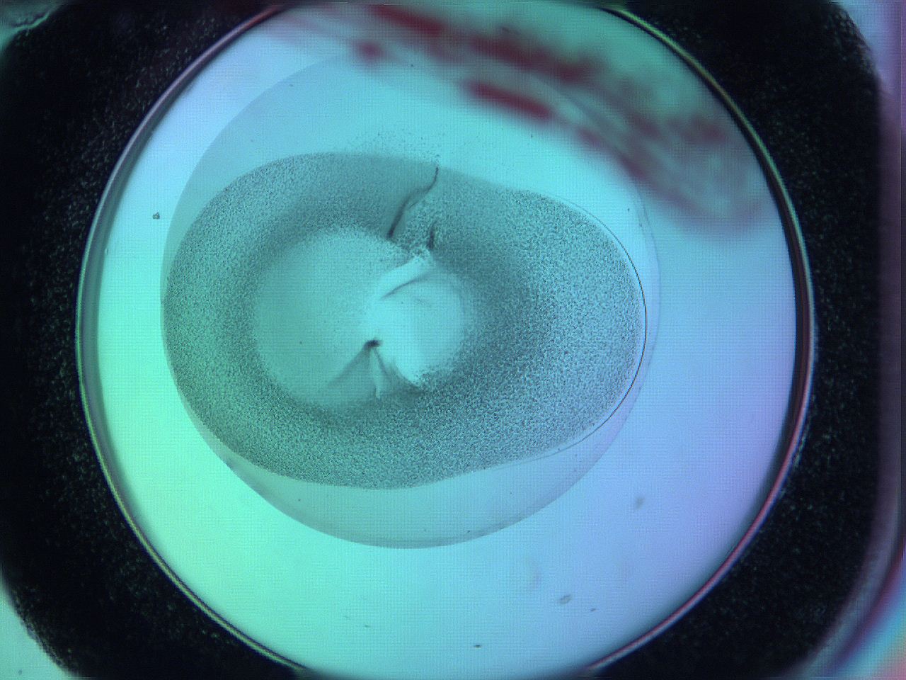 05zb_F10_ImagerDefaults_3.jpg