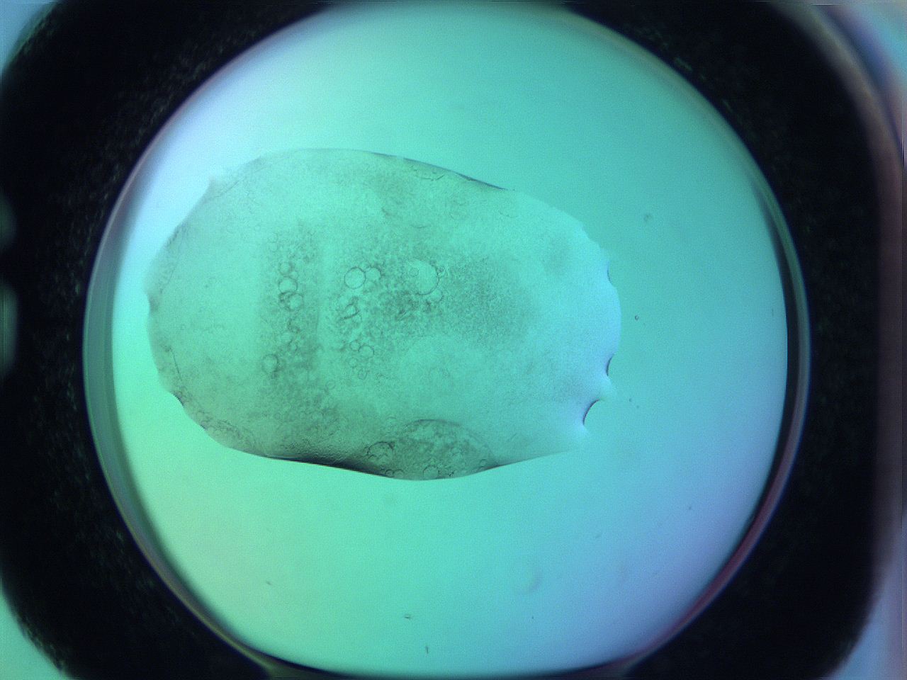 05zb_G4_ImagerDefaults_3.jpg