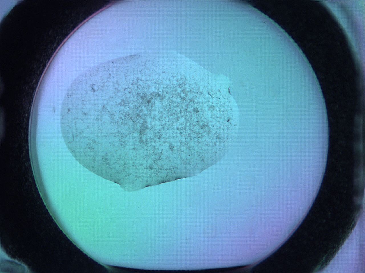 05zb_G12_ImagerDefaults_3.jpg