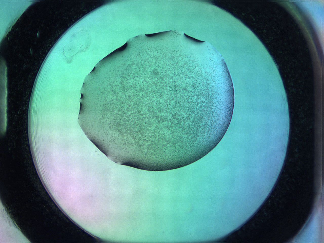 05zb_H1_ImagerDefaults_3.jpg