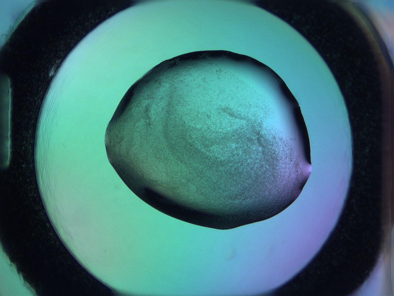 05zb_H2_ImagerDefaults_3.jpg
