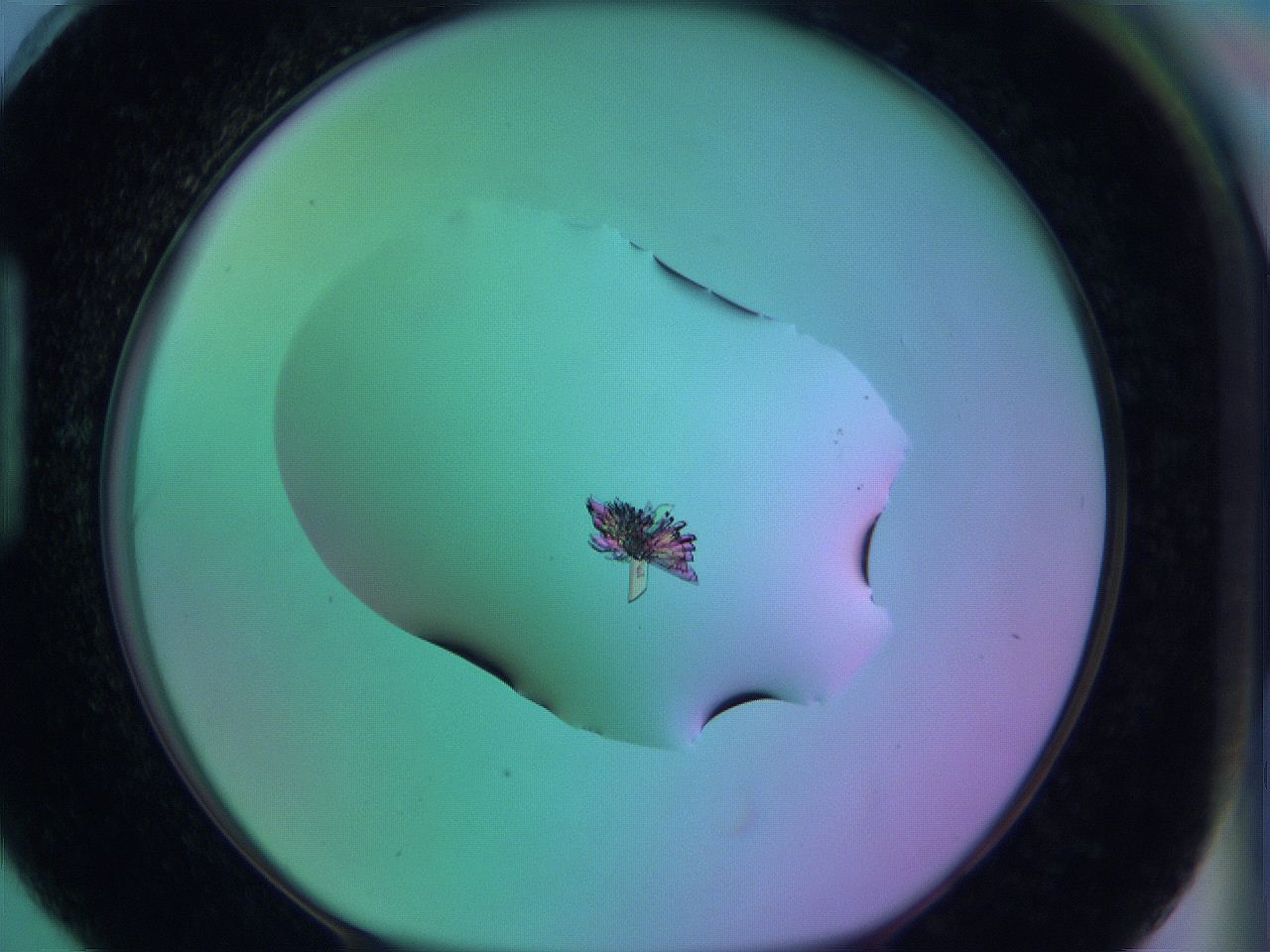 05zb_H6_ImagerDefaults_0.jpg