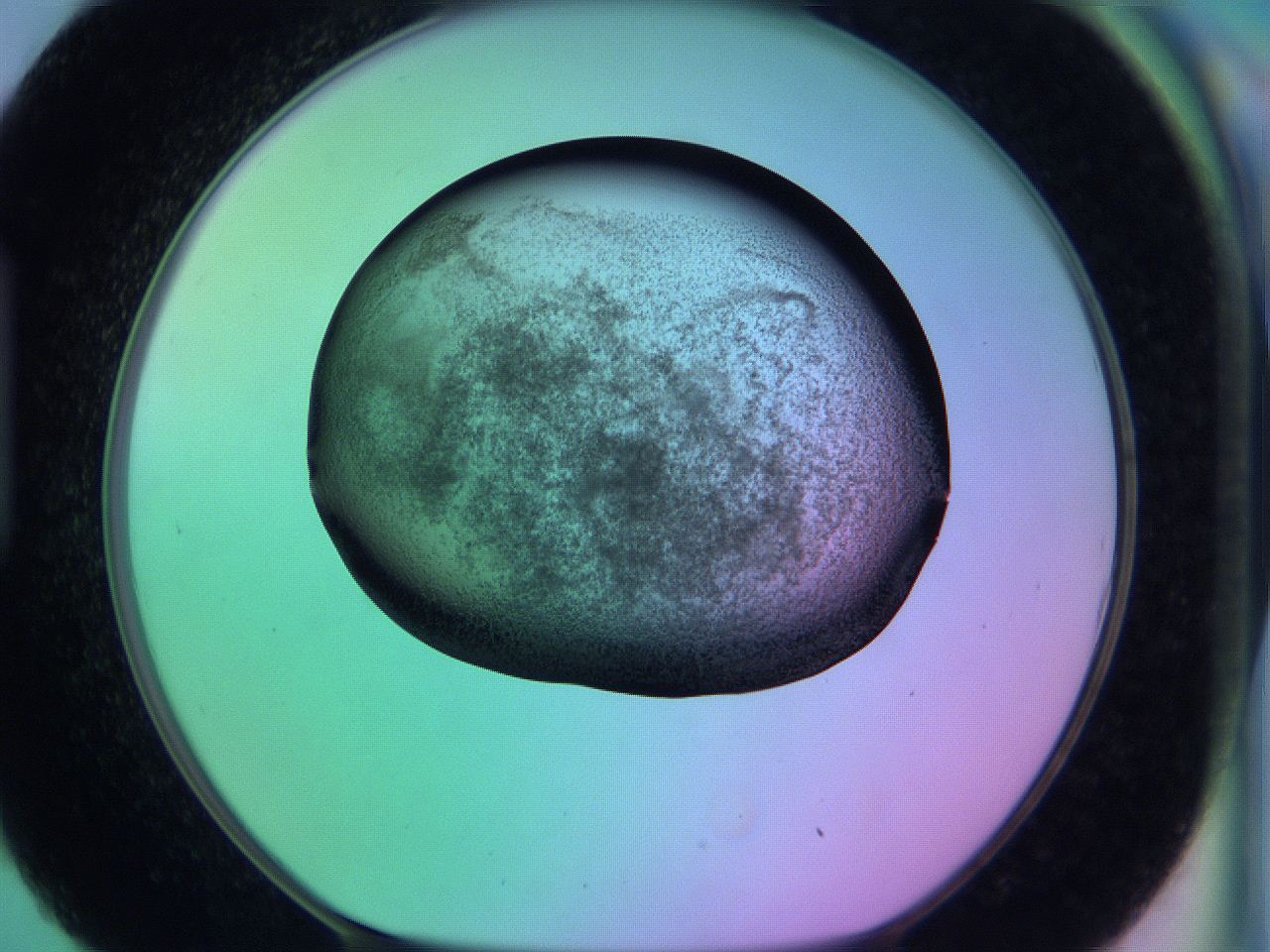 05zb_H9_ImagerDefaults_3.jpg