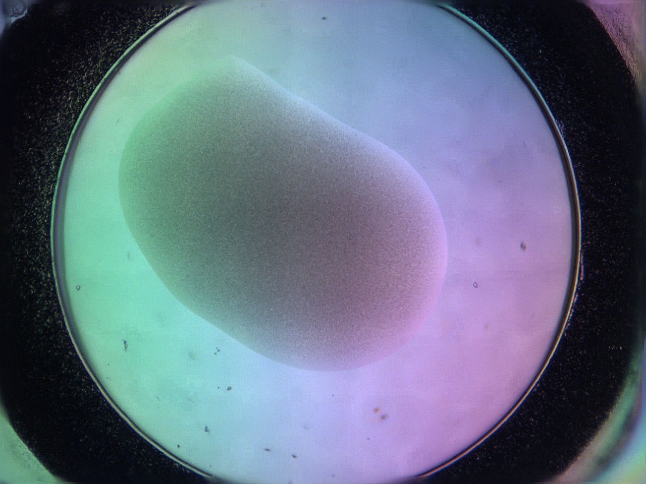 05zb_H11_ImagerDefaults_3.jpg