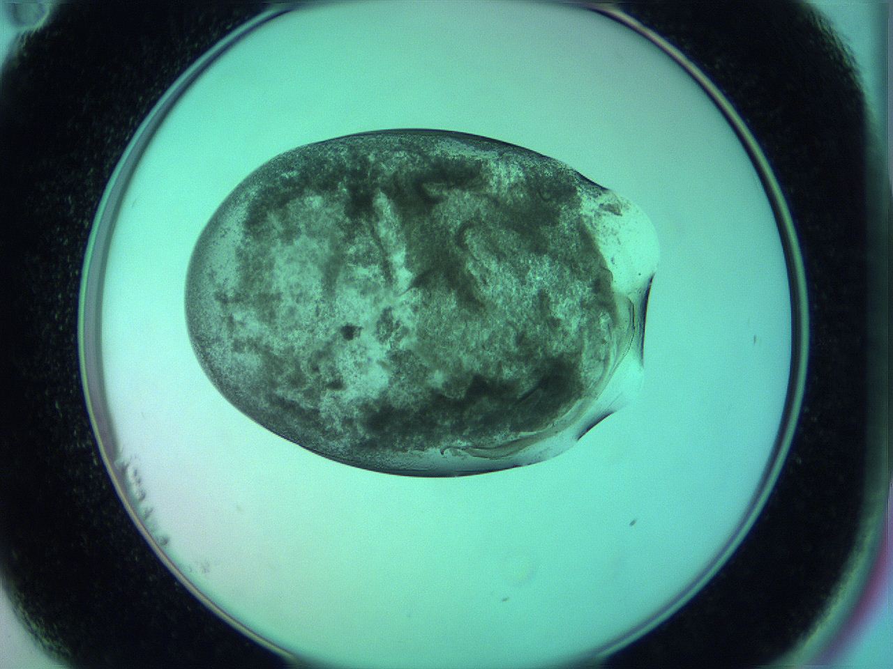 05zc_B11_ImagerDefaults_3.jpg