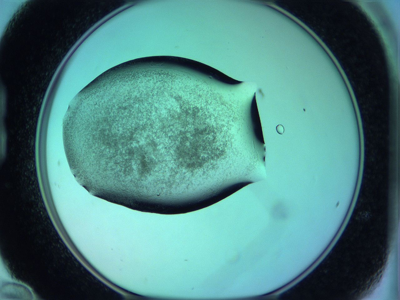 05zc_B12_ImagerDefaults_3.jpg