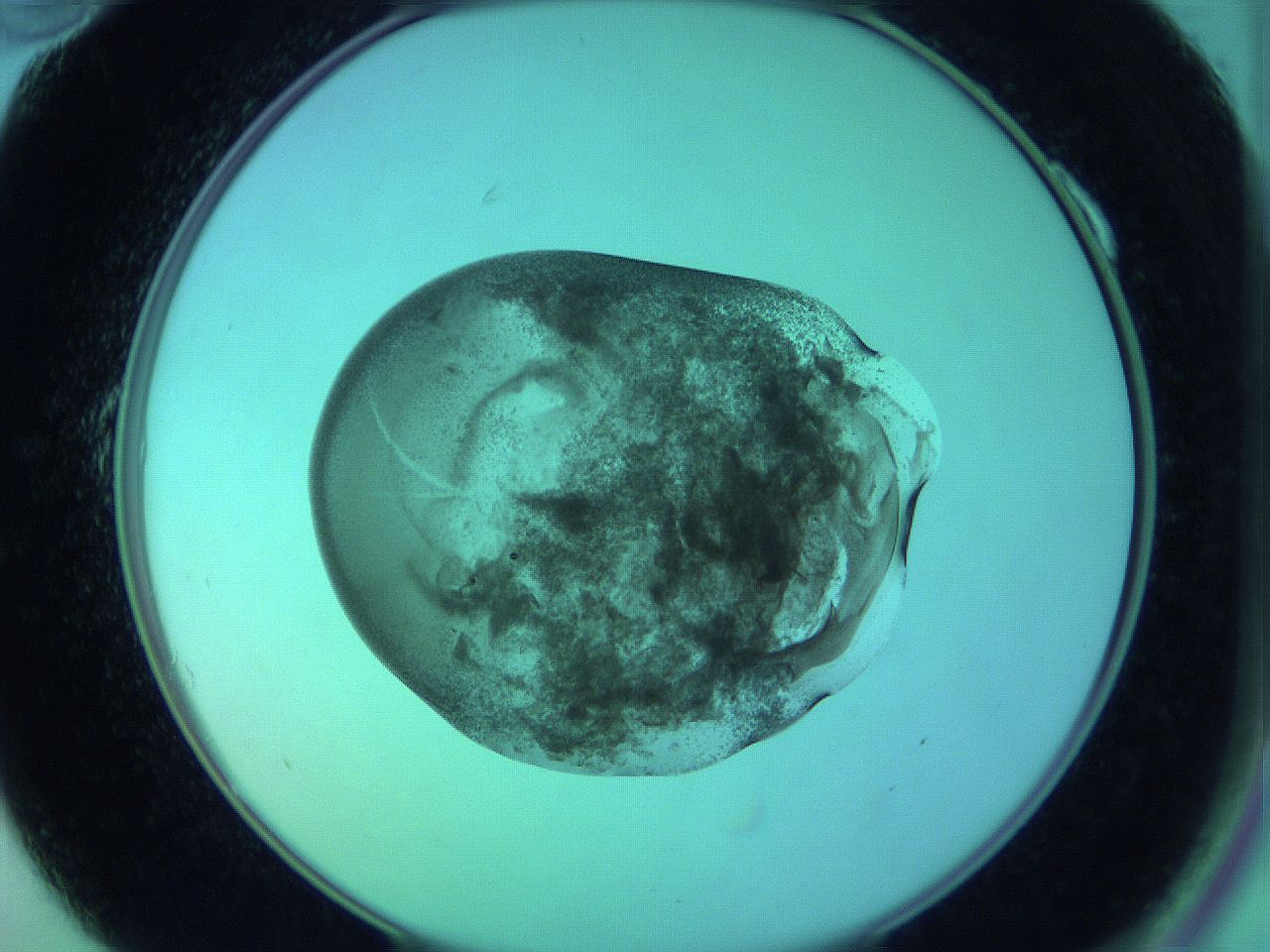 05zc_A10_ImagerDefaults_3.jpg