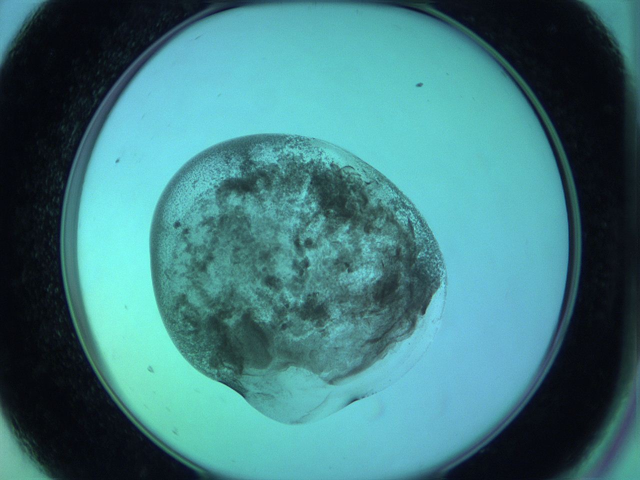 05zc_A9_ImagerDefaults_3.jpg