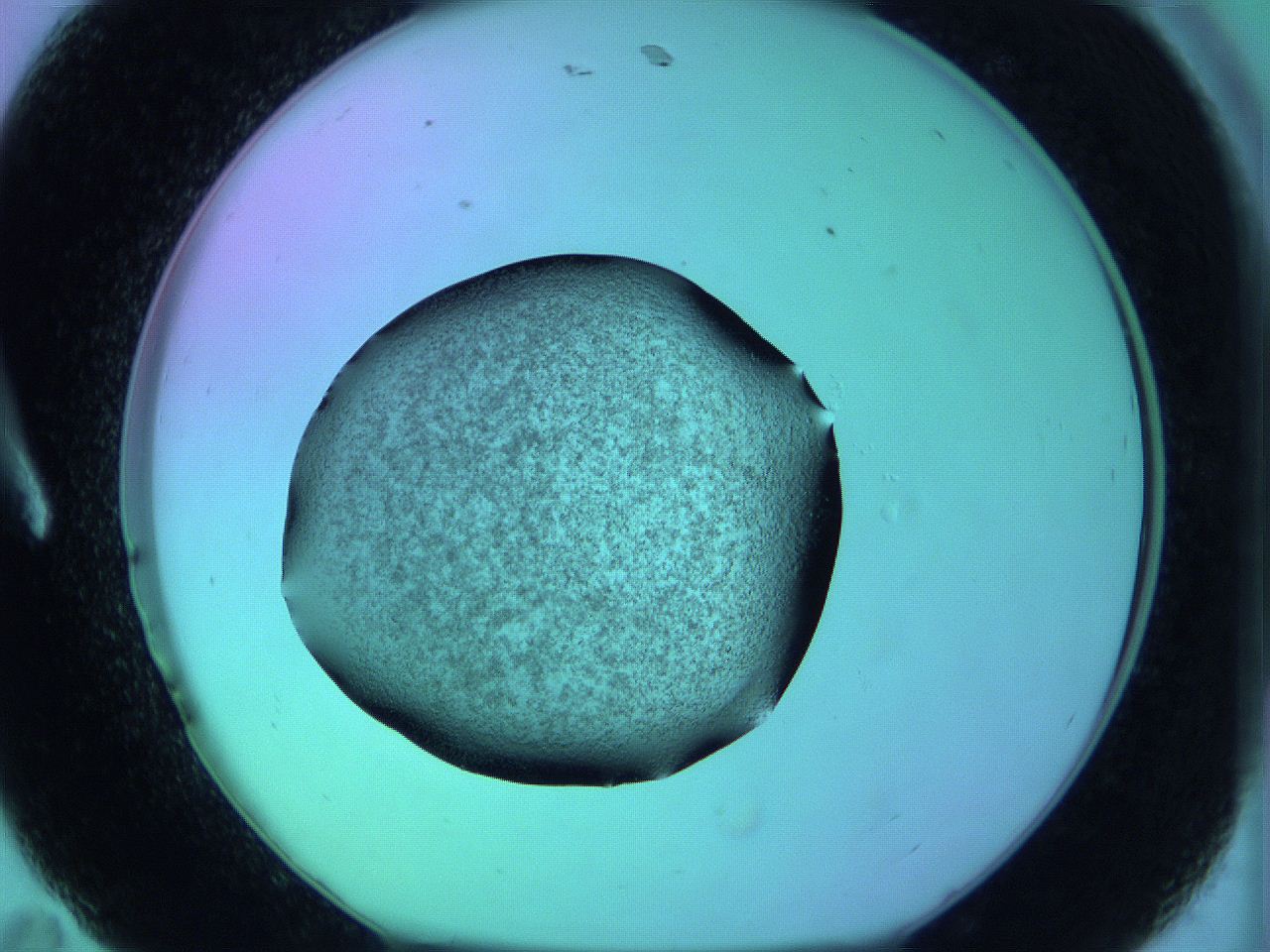 05zc_A11_ImagerDefaults_3.jpg