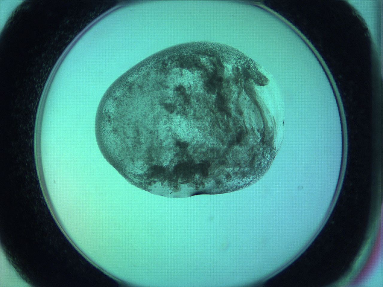05zc_B9_ImagerDefaults_3.jpg