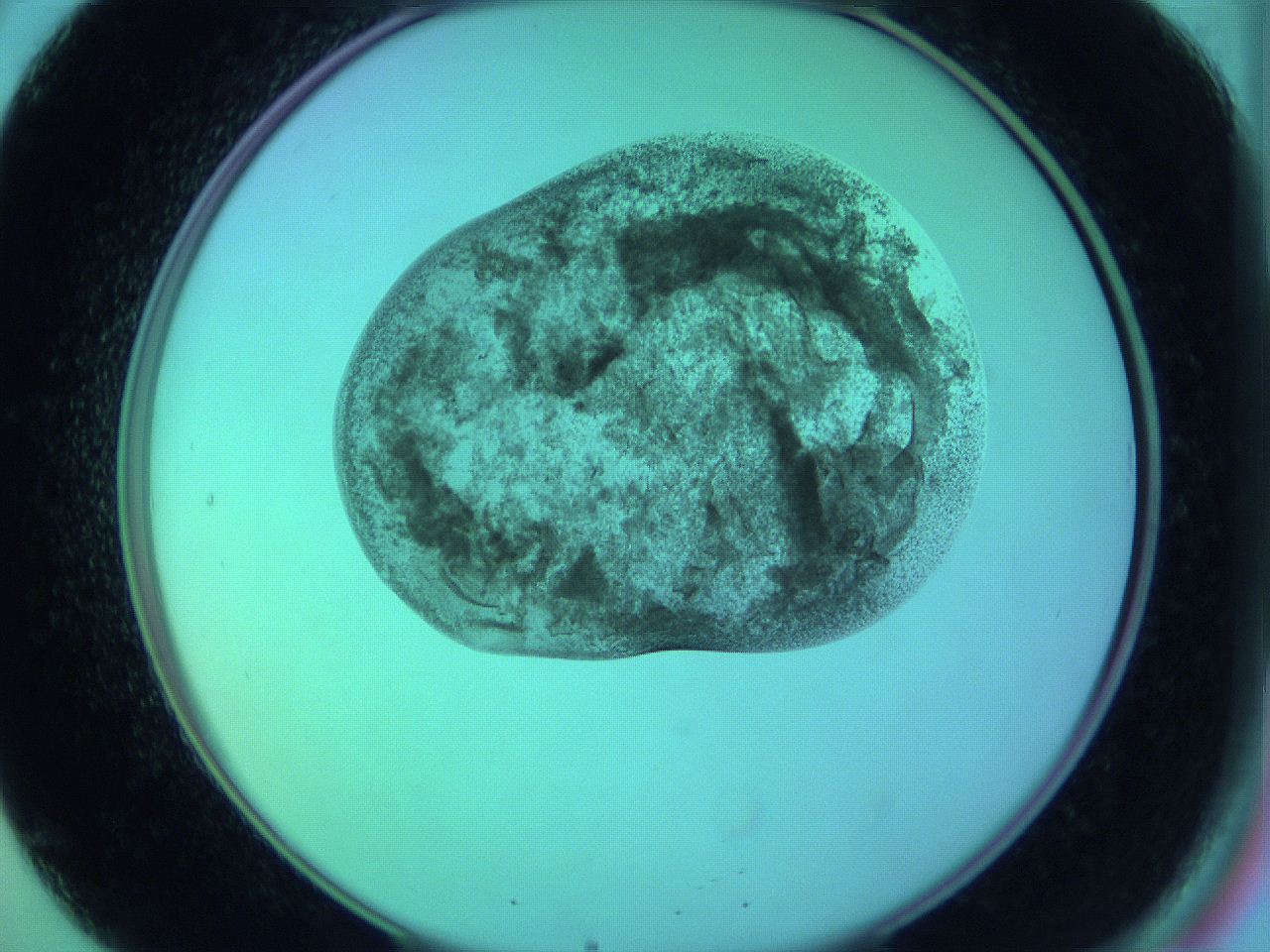 05zc_B8_ImagerDefaults_3.jpg