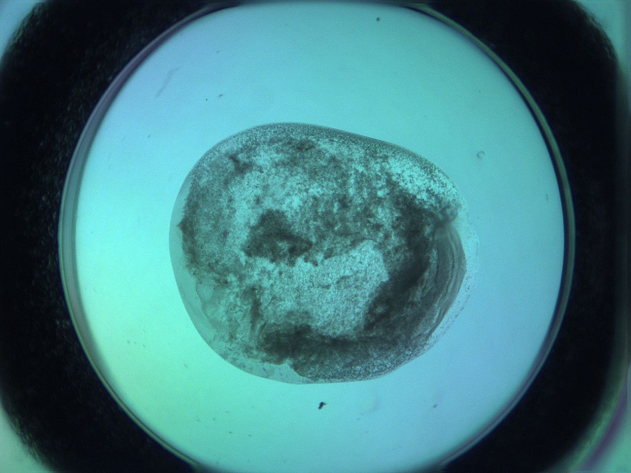 05zc_A8_ImagerDefaults_3.jpg