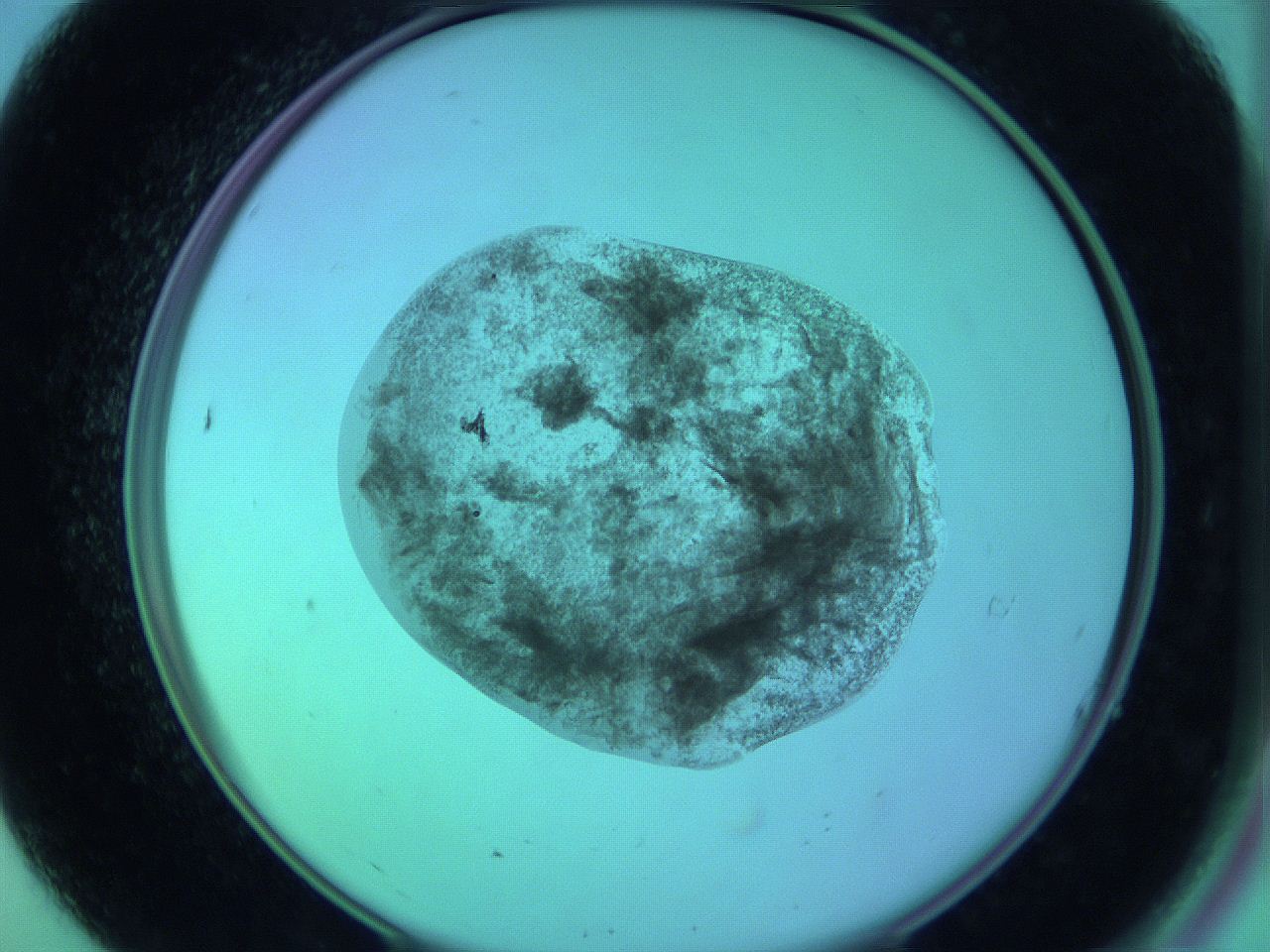 05zc_A7_ImagerDefaults_3.jpg