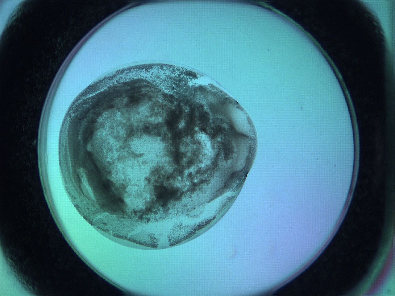 05zc_A6_ImagerDefaults_3.jpg