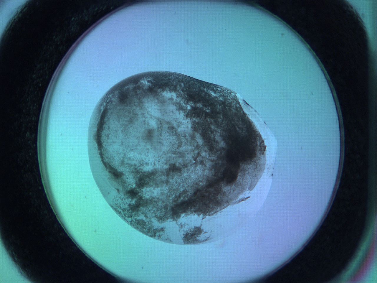 05zc_A5_ImagerDefaults_3.jpg