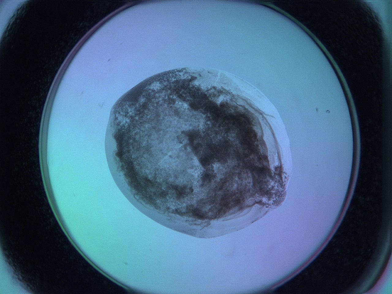 05zc_A3_ImagerDefaults_3.jpg