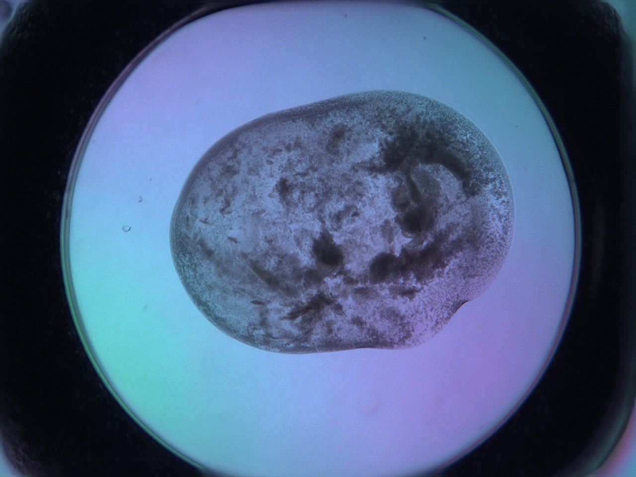 05zc_A2_ImagerDefaults_3.jpg