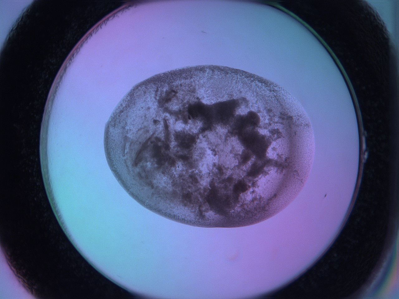 05zc_A1_ImagerDefaults_3.jpg