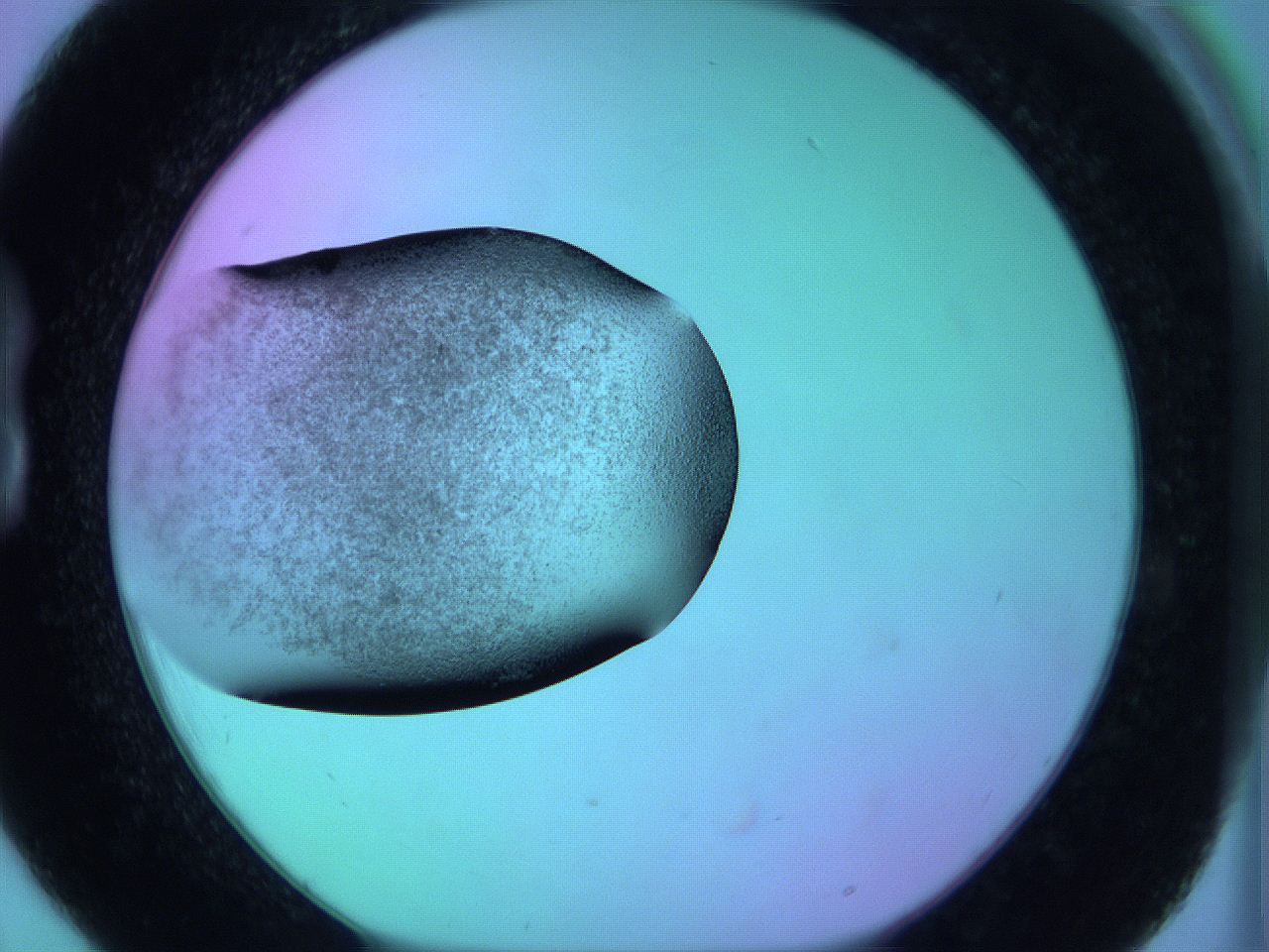 05zc_B6_ImagerDefaults_3.jpg