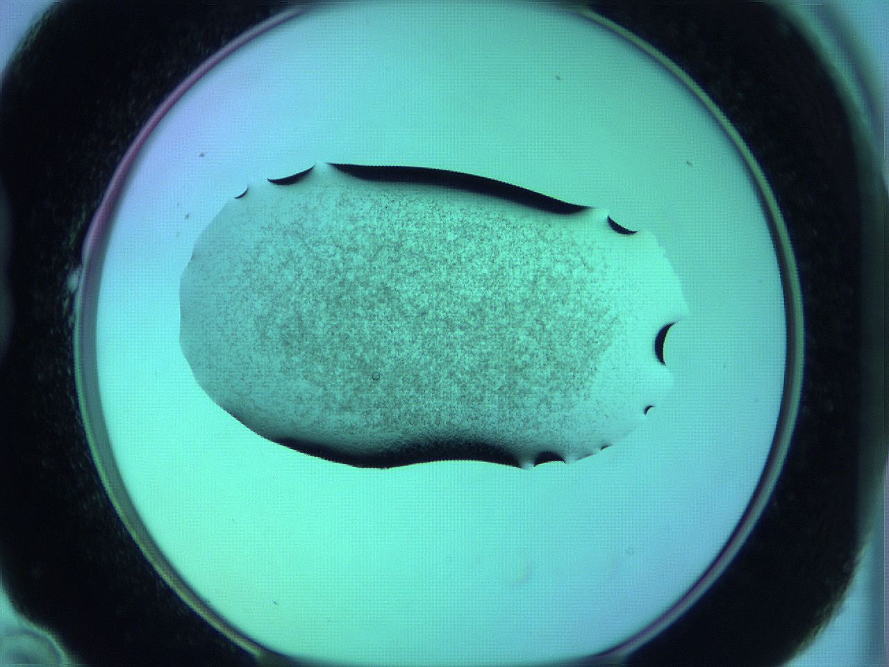 05zc_B10_ImagerDefaults_3.jpg