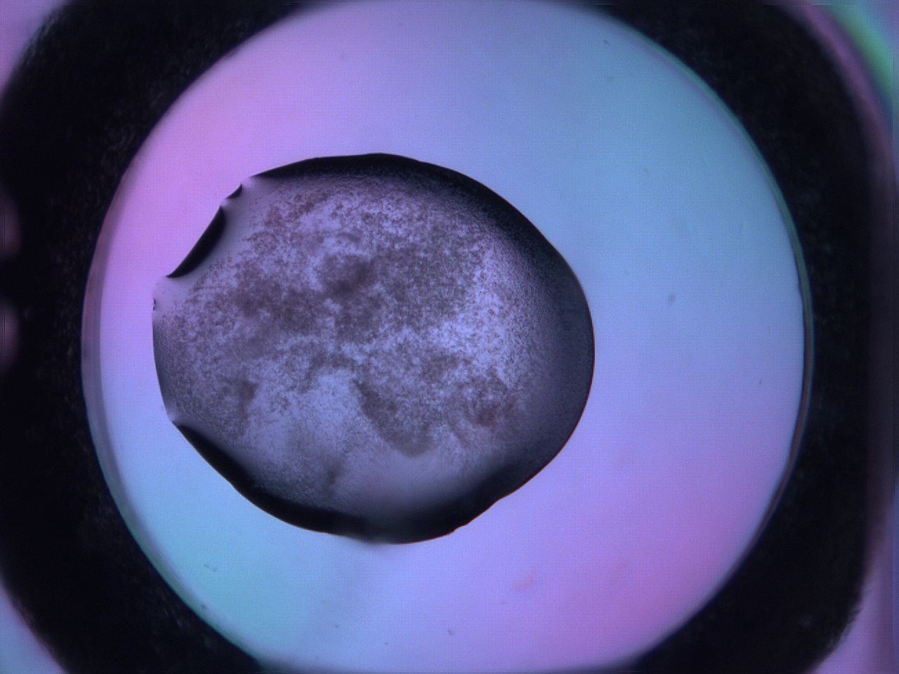 05zc_C2_ImagerDefaults_3.jpg