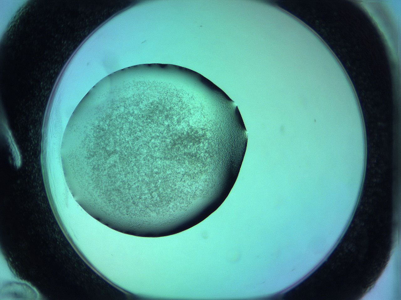 05zc_A12_ImagerDefaults_3.jpg